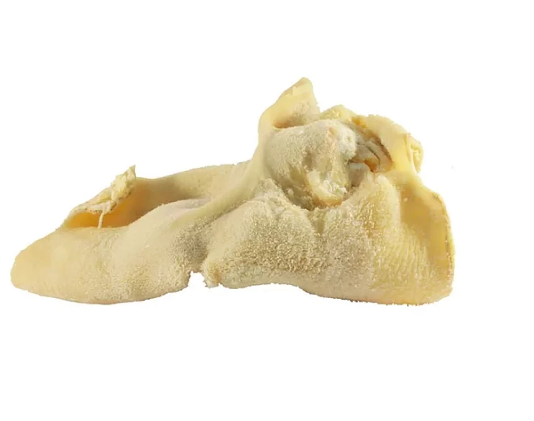 acfcea_e1f72f0a12604cd399729fe96f46e5c5_mv2